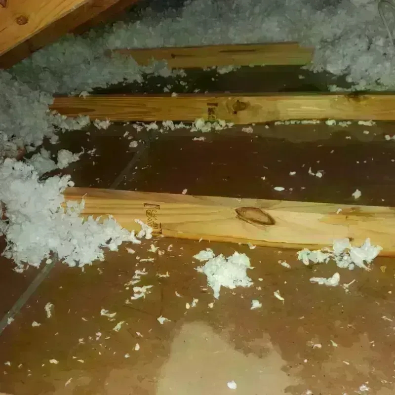 Attic Water Damage in Mint Hill, NC